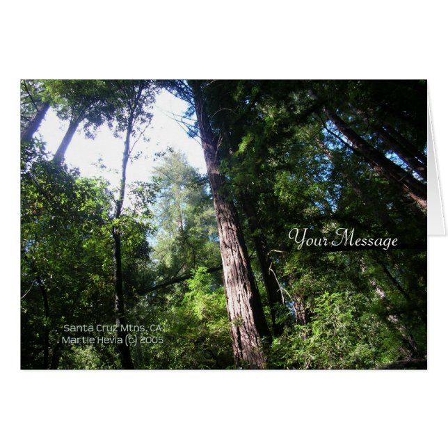 Cartão Sequoias (Frente Horizontal)