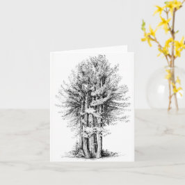 Cartão Sequoias Notecard