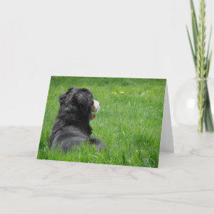 Cartão Serena no Sol