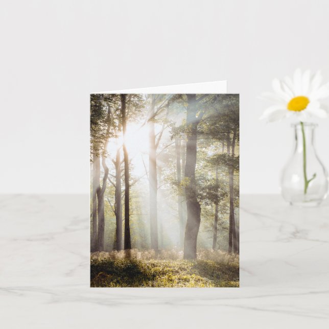 Cartão Serene Sunlit Forest (Planta pequena)