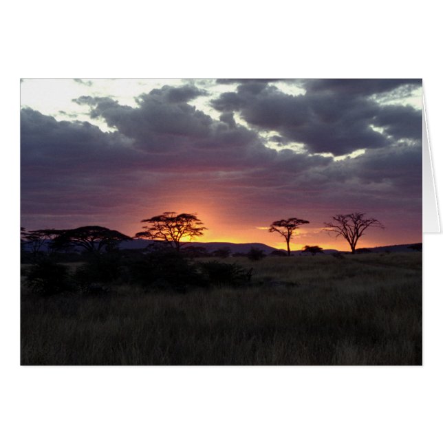 Cartão Serengeti_Sunset (Frente Horizontal)