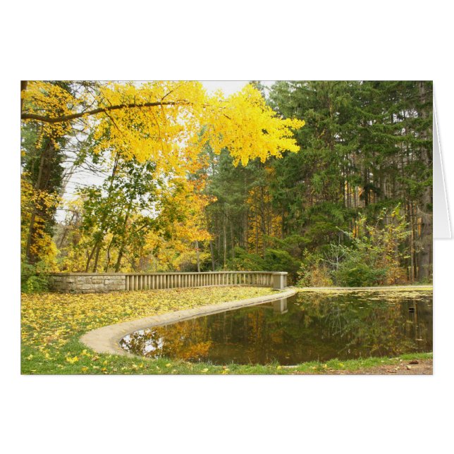 Cartão Serenidade (Frente Horizontal)