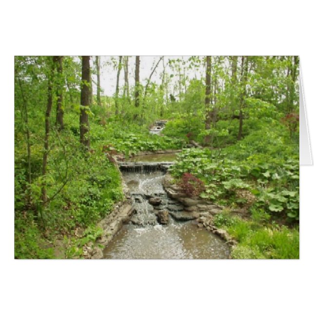 Cartão Serenidade (Frente Horizontal)