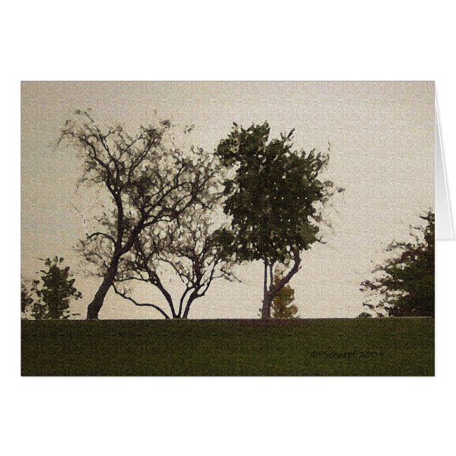 Cartão Serenidade (Frente Horizontal)