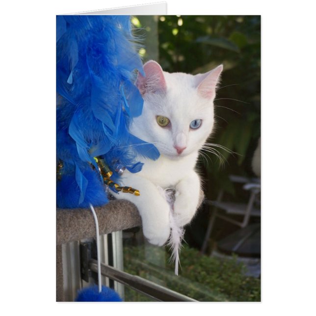 Cartão Serenidade com placa boa (Frente)