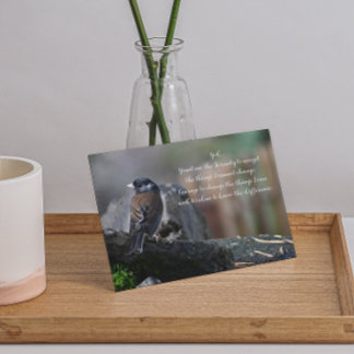 Cartão Serenity Prayer Bird no Branch Photo Vazio
