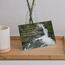 Cartão Serenity Prayer Forest Waterfall Photo Blank