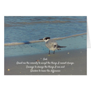 Cartão Serenity Prayer Sea Gull e Praia