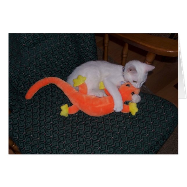 cartão Serenity Tackles Lizard (Frente Horizontal)