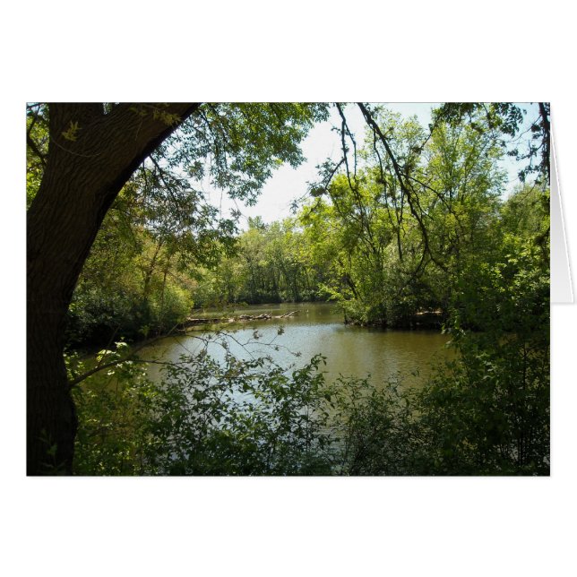 Cartão sereno (Frente Horizontal)