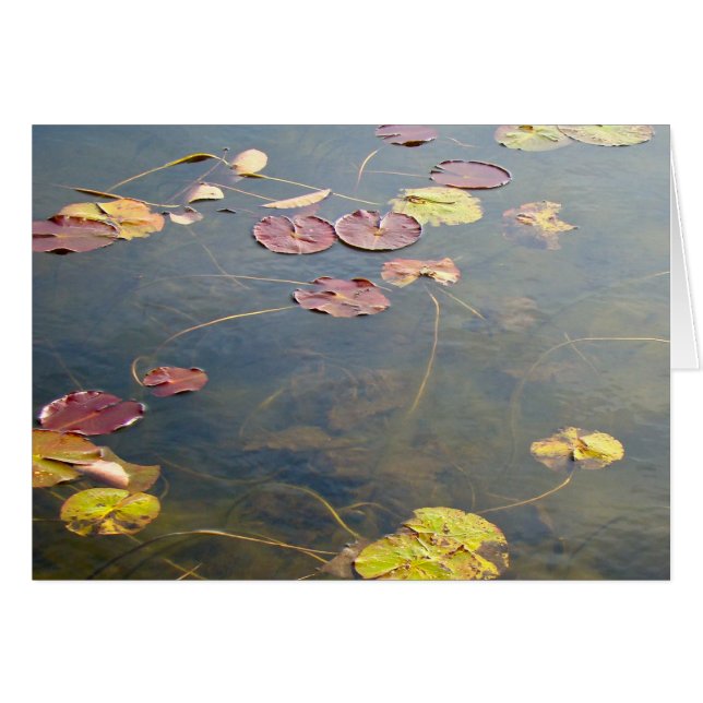 Cartão Série Autumn Lilypads (Frente Horizontal)