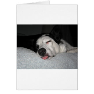 Cartão Série Beauty Rest