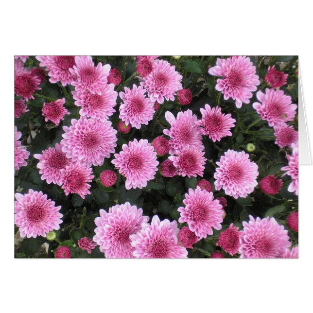 Cartão Série do buquê da natureza (primavera) (Frente Horizontal)