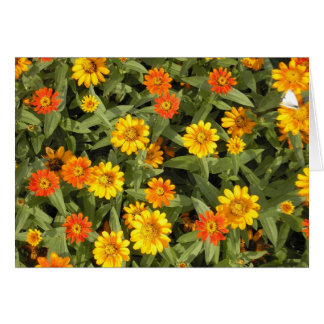 Cartão Série do buquê da natureza (queda)