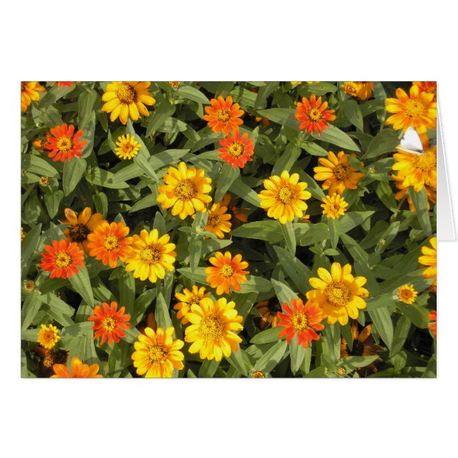 Cartão Série do buquê da natureza (queda) (Frente Horizontal)