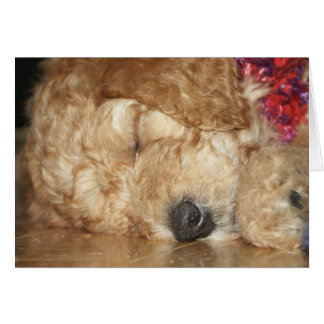 Cartão Series-02 recém-nascido