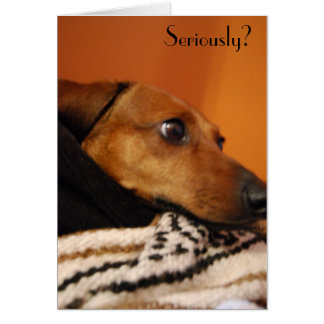 Cartão sério do filhote de cachorro