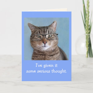 Cartão Sério pensar no aniversário do gato