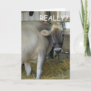 CARTÃO SÉRIO? VÁ BEM EM BREVE!