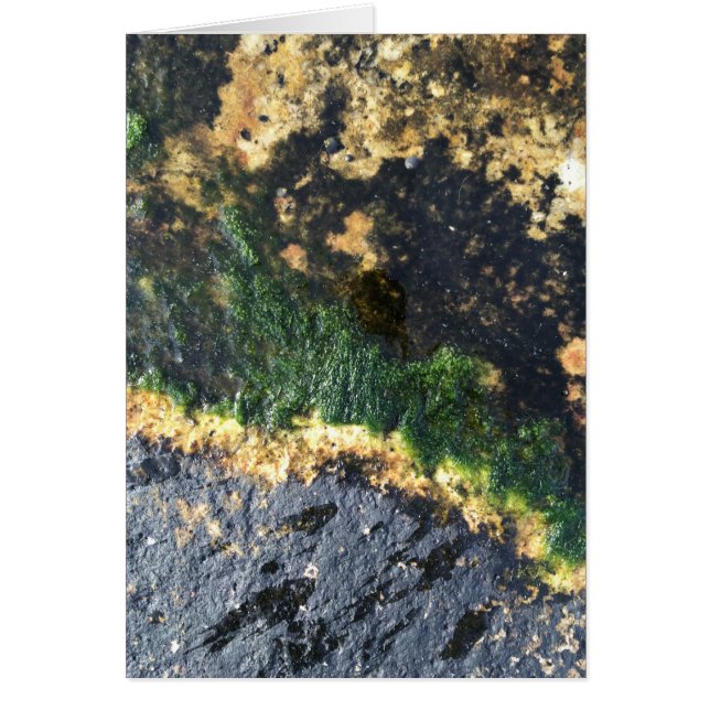 Cartão serração (Frente)