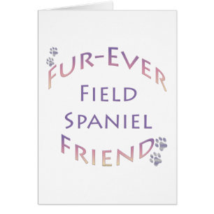 Cartão Servidor de Espanhol de Campo