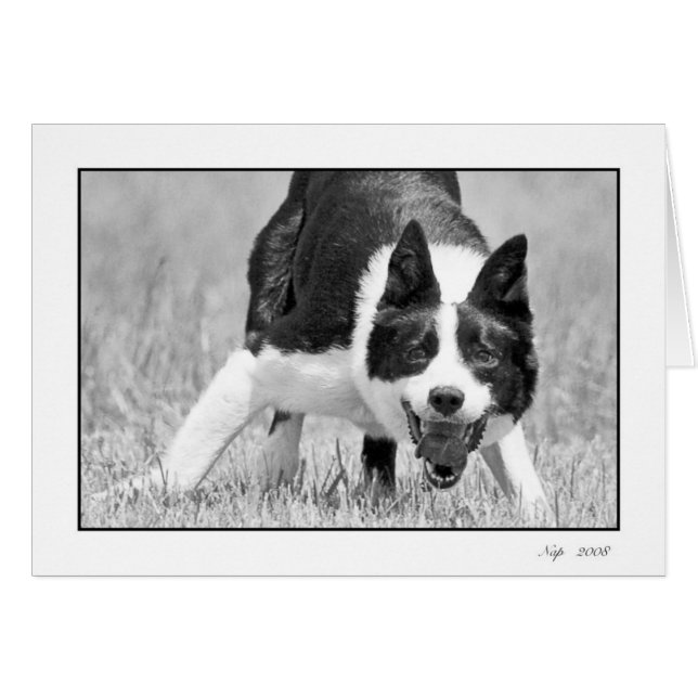 Cartão Sesta (Frente Horizontal)