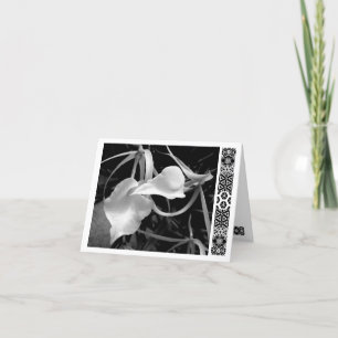 Cartão Setas brancas