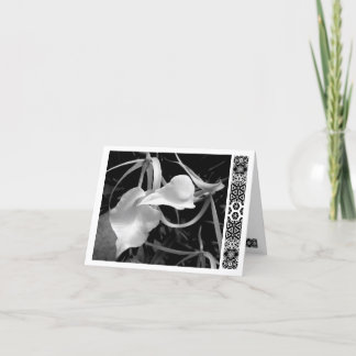 Cartão Setas brancas