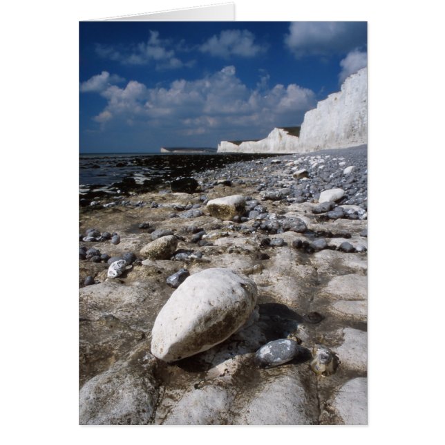Cartão Sete Carteira de Irmãs (Frente)