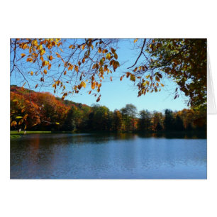 Cartão Sete Primaveras Caindo Árvores e Pond