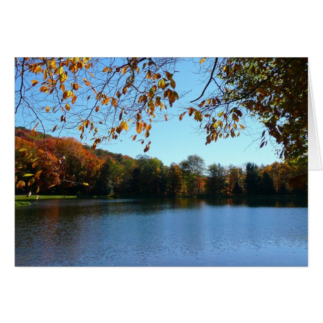 Cartão Sete Primaveras Caindo Árvores e Pond (Frente Horizontal)