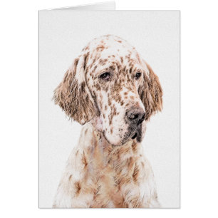 Cartão Setter Inglês Laranja Belton - Pintura de Cão