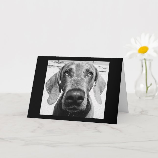 CARTÃO SEU CACHORRO SORTUDO! CARTAO (Planta pequena)