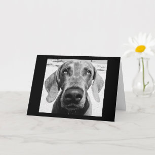 CARTÃO SEU CACHORRO SORTUDO! CARTAO