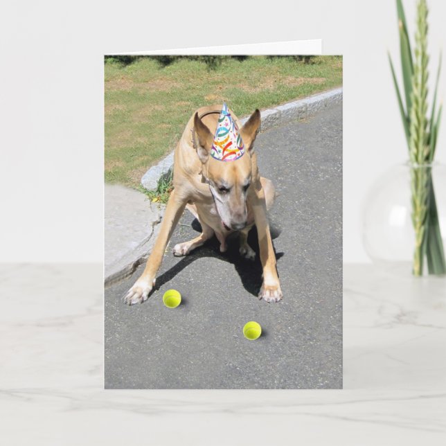 Cartão Seu Cão Velho (Frente)