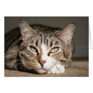 Cartão Seu nome é Ásia