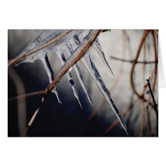 Cartão seu toque mordido