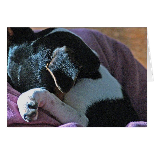 CARTÃO SEUS PENSAMENTOS (Frente Horizontal)