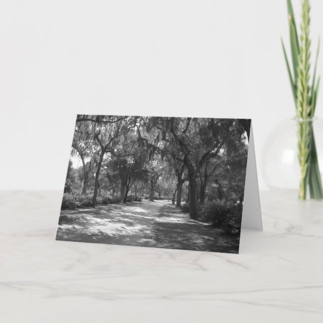 Cartão Shade 'quase Moss Espanhóis (Frente)