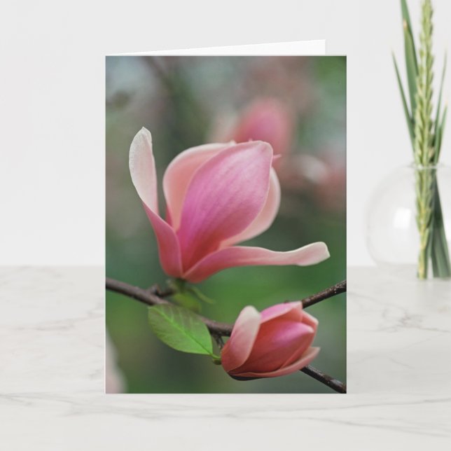 Cartão Shades of Spring Greeting Card (Frente)