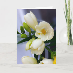 Cartão Shades of yellow on white freesia