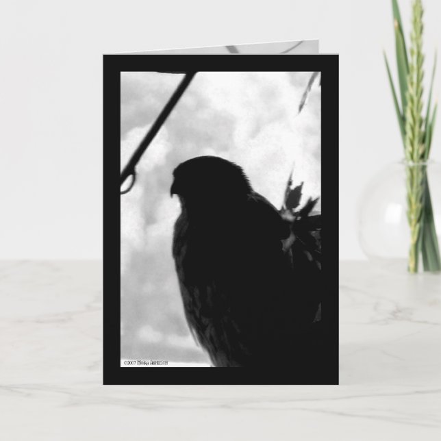 Cartão Shadow Hawk (Frente)