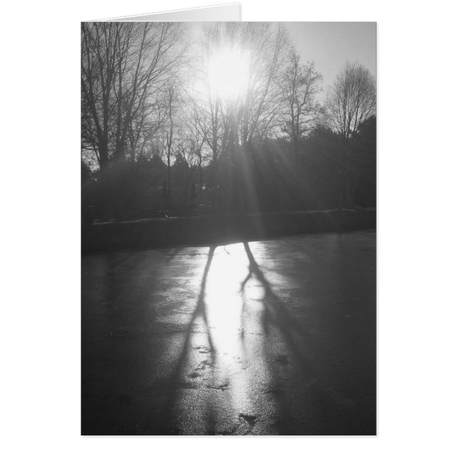 Cartão Shadow on Ice - Noir, placa (Frente)