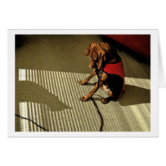 Cartão Shadowplay 1