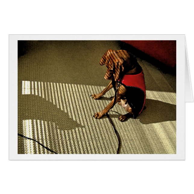 Cartão Shadowplay 1 (Frente Horizontal)