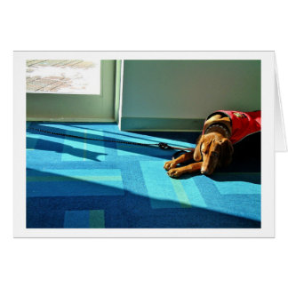 Cartão Shadowplay 2