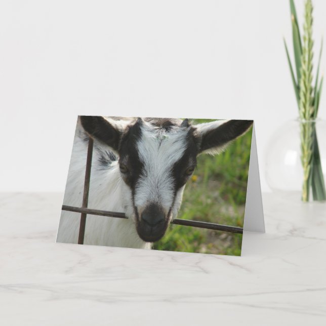 Cartão Shamrock (Frente)