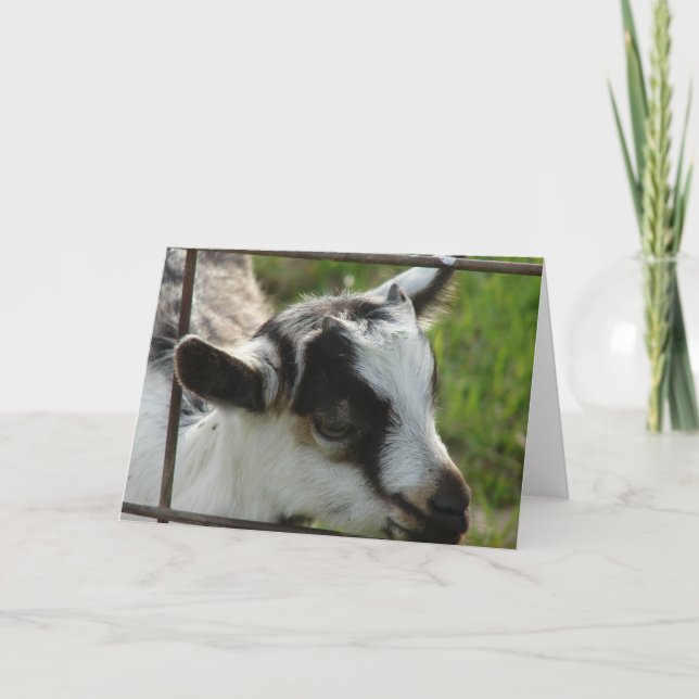 Cartão Shamrock (Frente)