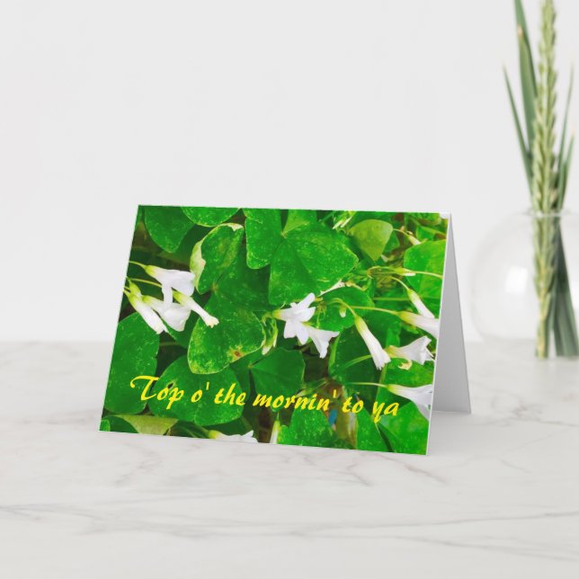 Cartão Shamrock Blank Greetings Card (Frente)