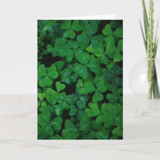 Cartão Shamrock Clover Card